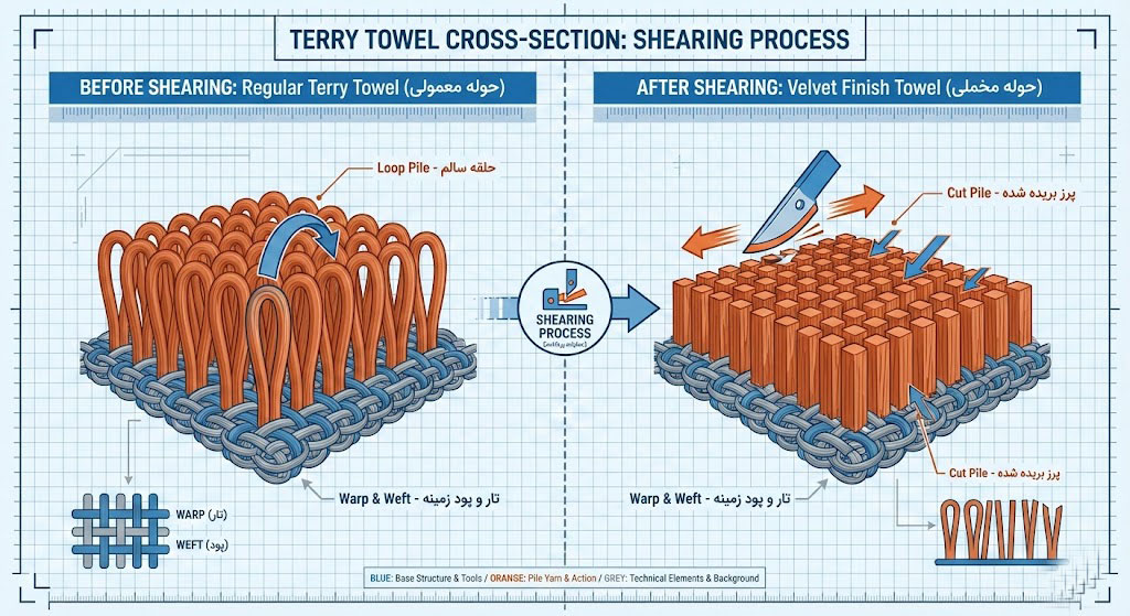 حوله توسط دستگاه مخمل زنی تیغ زده میشه و پرزها بریده میشه